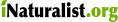 iNaturalist.org