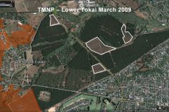 Tokai Cecilia Management Framework