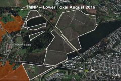 Tokai Cecilia Management Framework
