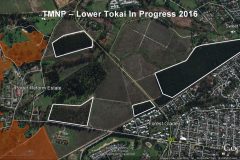 Tokai Cecilia Management Framework
