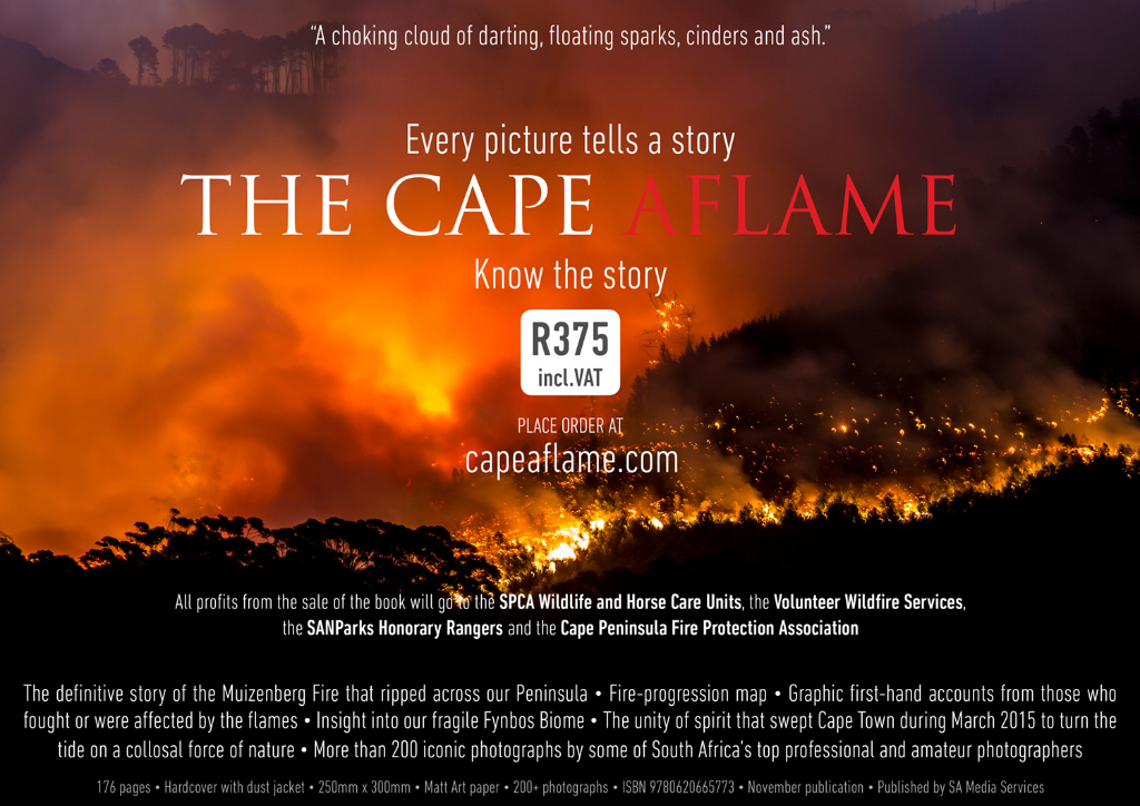 "A choking cloud of darting, floating sparks, cinders and ash."