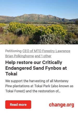 Tokai Fynbos