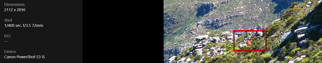 simonstown wildfires 04 simonstown wildfires 04