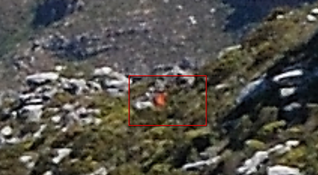 simonstown wildfires 03 simonstown wildfires 03