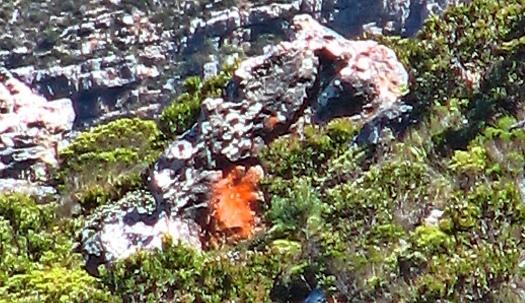 simonstown wildfires 05 simonstown wildfires 05