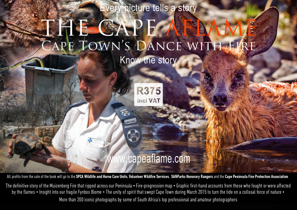 The Cape Aflame – Cape Town's Dance with Fire