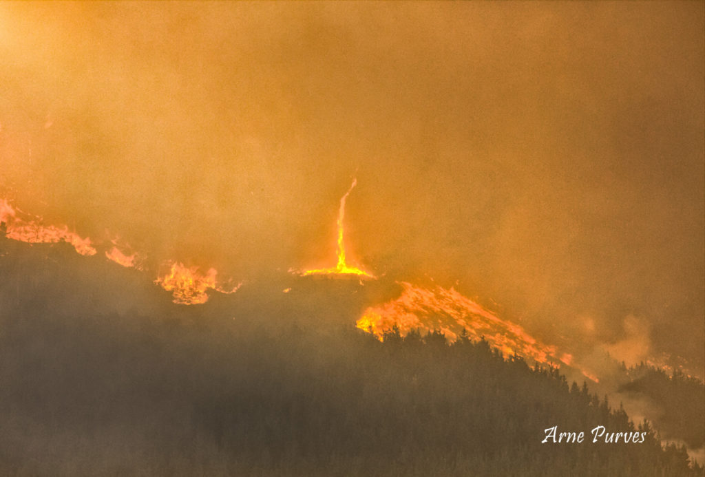 Tokai fire whirls