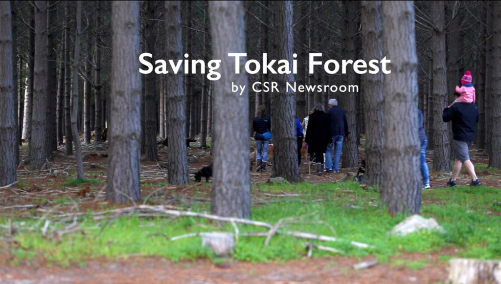Parkscape - Photograph and video: CSR Newsroom Parkscape - Photograph and video: CSR Newsroom